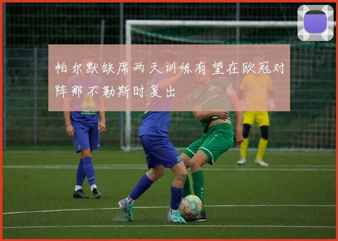 帕尔默缺席两天训练有望在欧冠对阵那不勒斯时复出