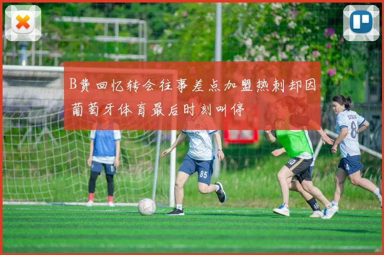 B费回忆转会往事差点加盟热刺却因葡萄牙体育最后时刻叫停