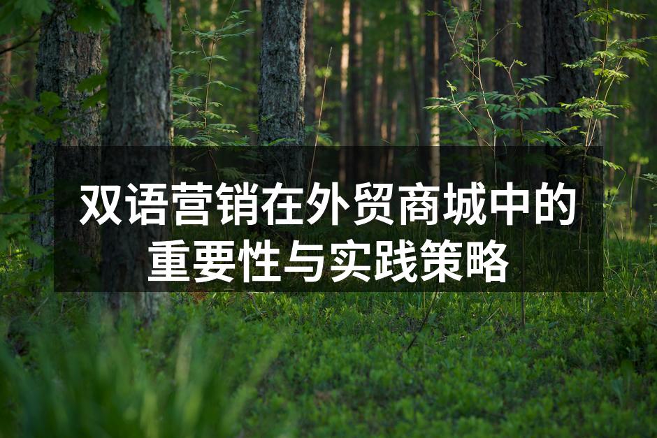 双语营销在外贸商城中的重要性与实践策略