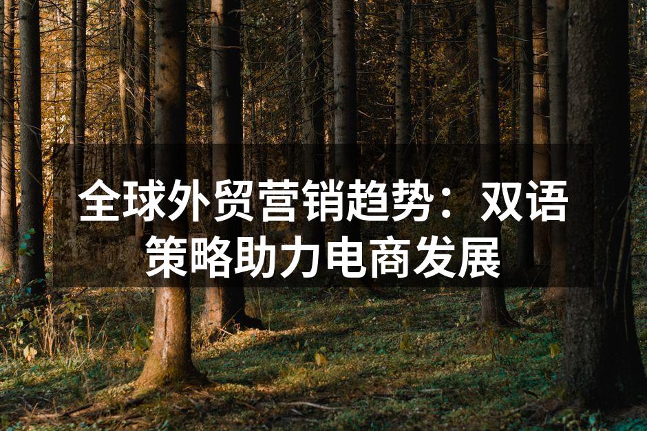 全球外贸营销趋势：双语策略助力电商发展