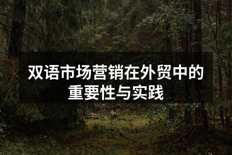 双语市场营销在外贸中的重要性与实践